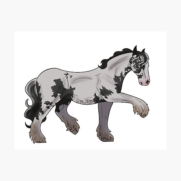 Aperçu de l'œuvre RDO Cob éclaboussé Piebald créée et vendue par BlueToDraw.