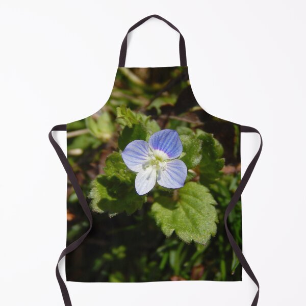 Item preview, Early Spring Birdseye Speedwell designed and sold by gistinker.
