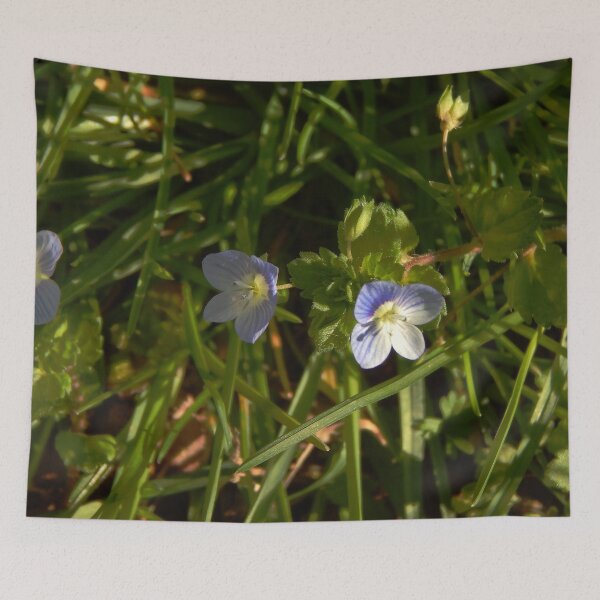 Item preview, Birdseye Speedwell Duo designed and sold by gistinker.