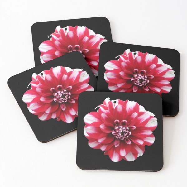 Item preview, Fire & Ice Dahlia designed and sold by AussieAl.