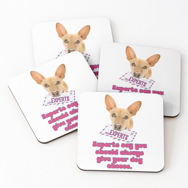 Item preview, Experts say you should always give your dog cheese. Funny meme dog humor. designed and sold by JoyOfHopeStore.