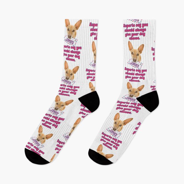 Item preview, Experts say you should always give your dog cheese. Funny meme dog humor. designed and sold by JoyOfHopeStore.
