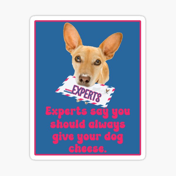Artikel-Vorschau von Experten sagen, dass Sie Ihrem Hund immer Käse geben sollten. Lustiger Meme-Hunde-Humor., designt und verkauft von JoyOfHopeStore.