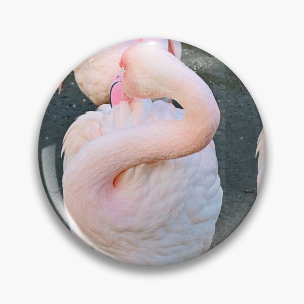 Item preview,  Flamingo’sssssssssss  !!!!!!! designed and sold by NatureSoReal.