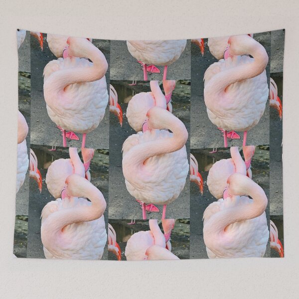 Item preview,  Flamingo’sssssssssss  !!!!!!! designed and sold by NatureSoReal.
