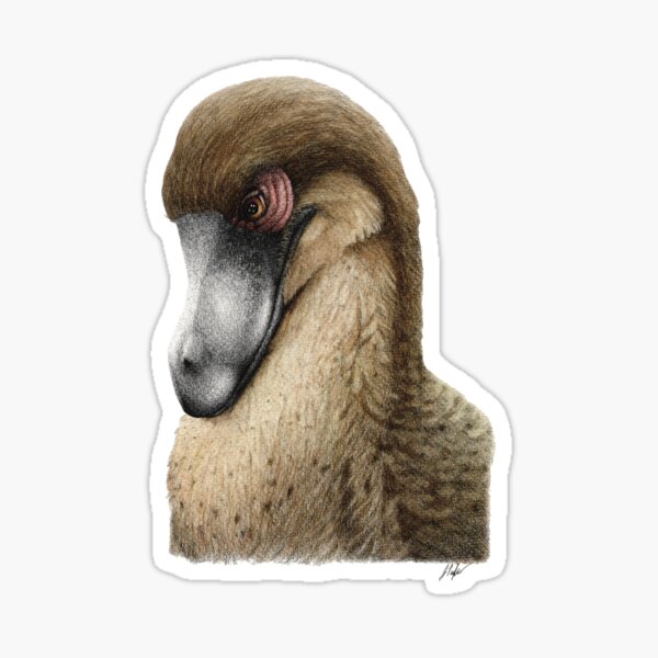 Velociraptor Sticker