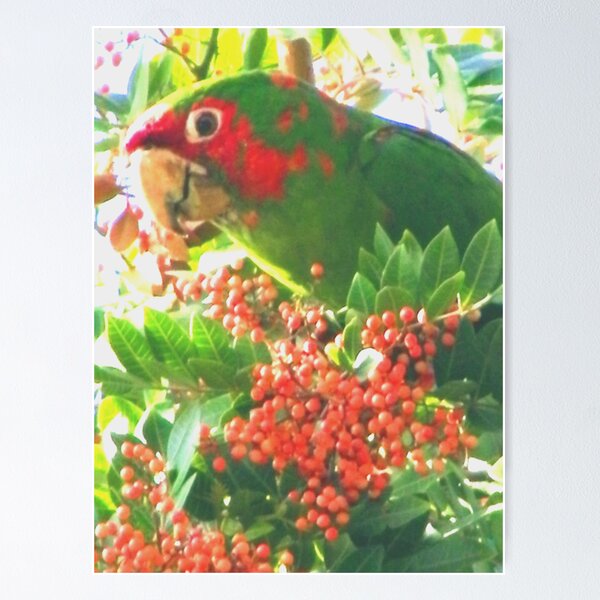 Item preview, Thinking of you designed and sold by Elenne Boothe.