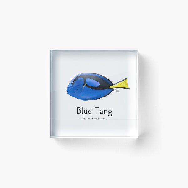 Item preview, Blue Tang designed and sold by yeoldeshoppe.