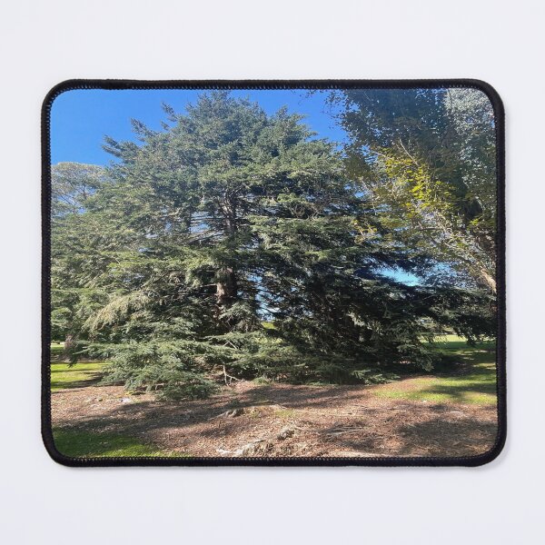 Item preview, Large tree designed and sold by Beautyqueens Beautys.