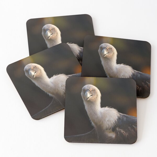 Item preview, Gaze of the Vulture designed and sold by rawshutterbug.