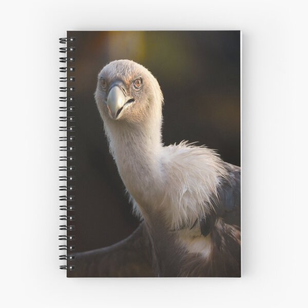 Item preview, Gaze of the Vulture designed and sold by rawshutterbug.