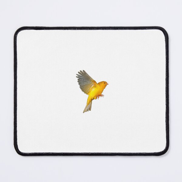 Item preview, beautiful yellow bird isolated on black background, canary in flight designed and sold by zambalala.