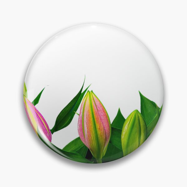 Item preview, Bouquet of tulips on a white background designed and sold by zambalala.