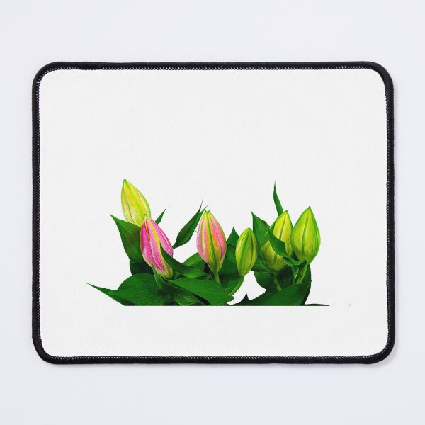 Item preview, Bouquet of tulips on a white background designed and sold by zambalala.
