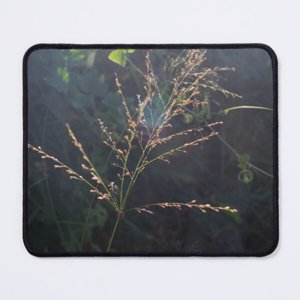 Item preview, Morning Grass designed and sold by ROSE ANN BANILAR.