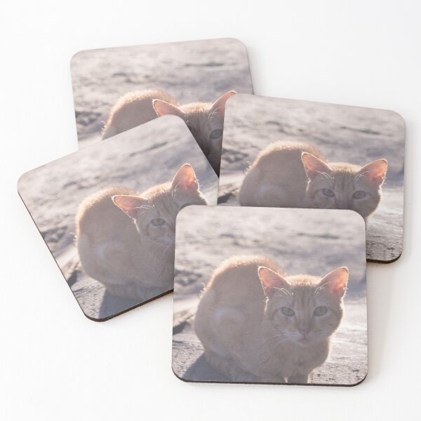Item preview, Morning Cat designed and sold by ROSE ANN BANILAR.