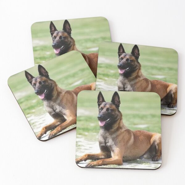 Item preview, Ever Alert Dog designed and sold by annenambiro.