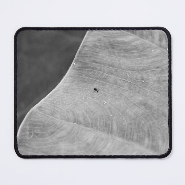 Item preview, Island designed and sold by ROSE ANN BANILAR.
