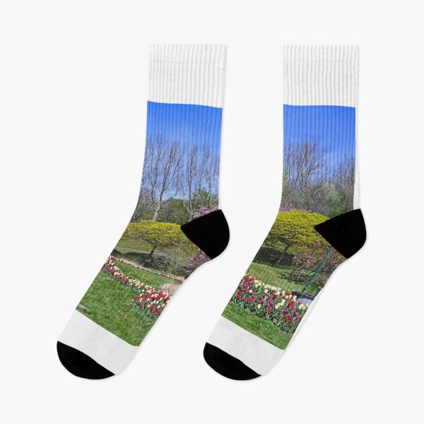 Item preview, Tulips flowers and trees landscape in Kurpark Oberlaa Vienna  designed and sold by goceris.