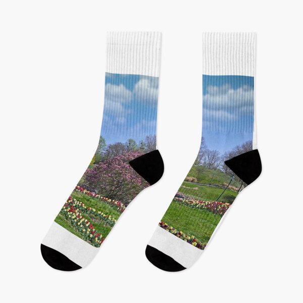 Item preview, Tulips flowers and trees landscape in Kurpark Oberlaa Vienna springtime designed and sold by goceris.