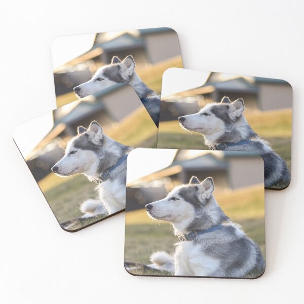 Item preview, Sideview Portrait of Siberian Husky Dog designed and sold by VanGaldo.
