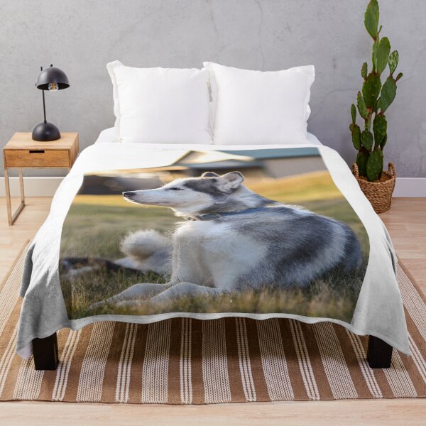 Item preview, Sideview Portrait of Siberian Husky Dog designed and sold by VanGaldo.