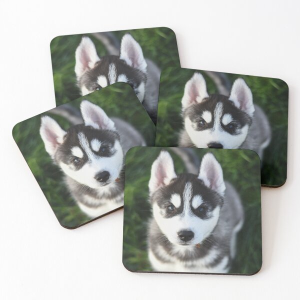 Item preview, Beautiful Siberian Husky Puppy designed and sold by VanGaldo.
