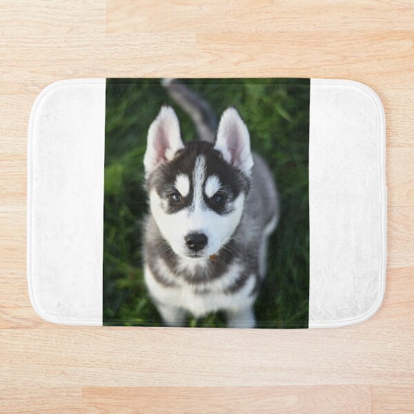 Item preview, Beautiful Siberian Husky Puppy designed and sold by VanGaldo.