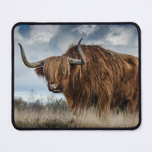 Vista previa del artículo con la obra «toro escocés de las tierras altas», diseñado y vendido por soulwear01.