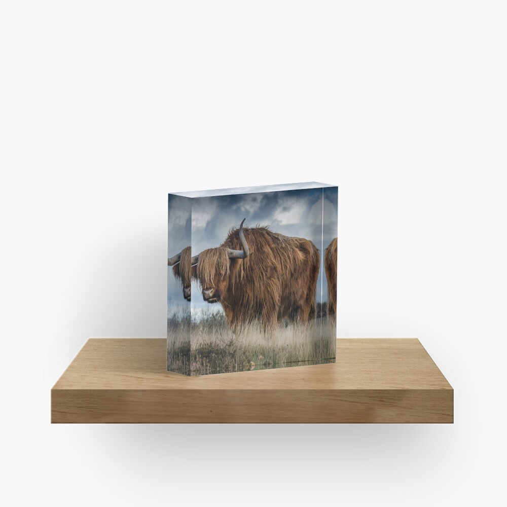 Vista previa del artículo con la obra «Bloque acrílico», diseñado y vendido por soulwear01.