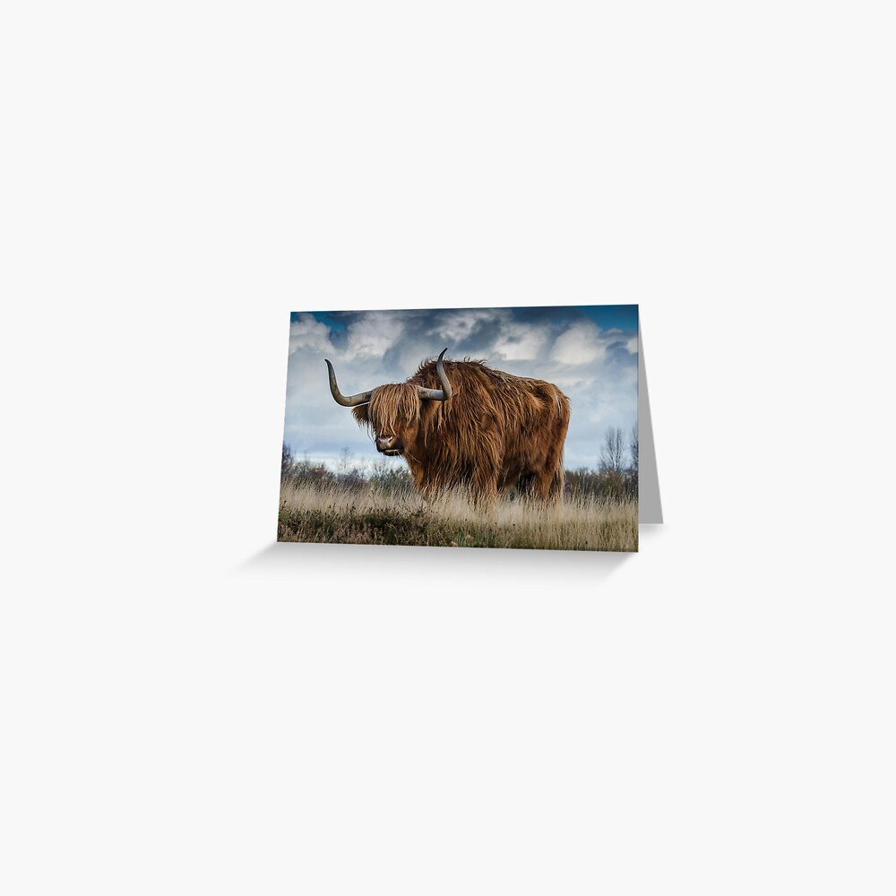 Vista previa del artículo con la obra «Tarjetas de felicitación», diseñado y vendido por soulwear01.