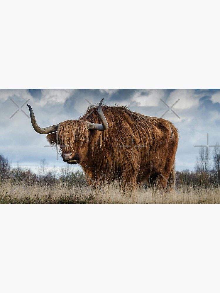 Imagen 5 de 5, Alfombrilla de ratón con la obra toro escocés de las tierras altas, diseñada y vendida por soulwear01.