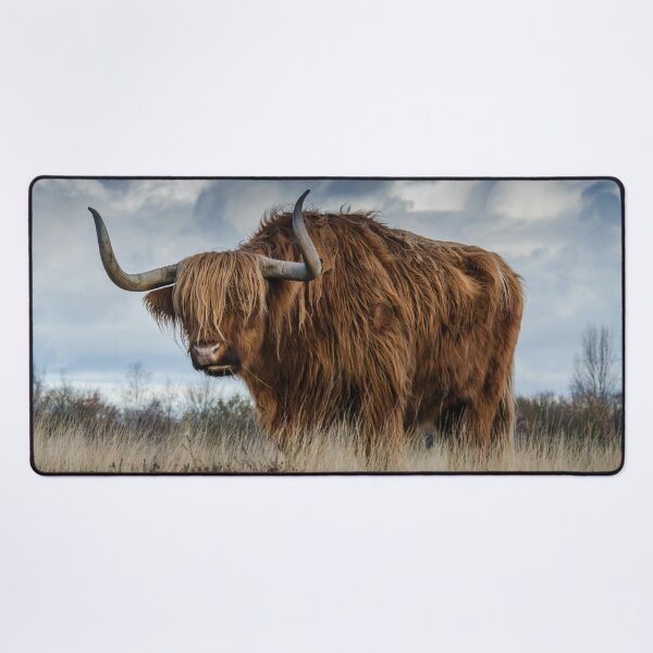 Vista previa del artículo con la obra «toro escocés de las tierras altas», diseñado y vendido por soulwear01.