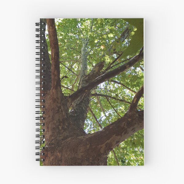 Item preview, Looking up through the Trees designed and sold by EquusEducation.