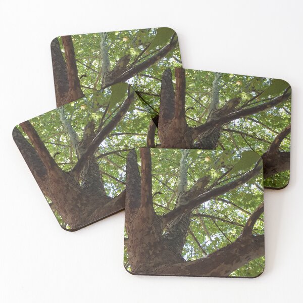 Item preview, Looking up through the Trees designed and sold by EquusEducation.