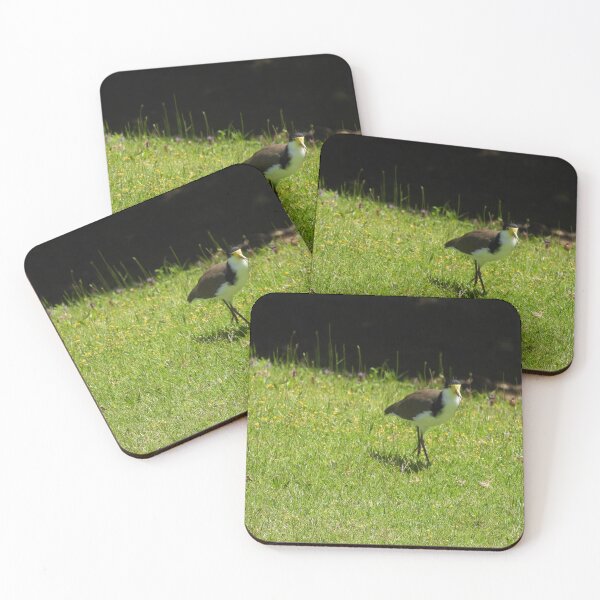 Item preview, Masked lapwing bird  designed and sold by Claire L Page Photography.