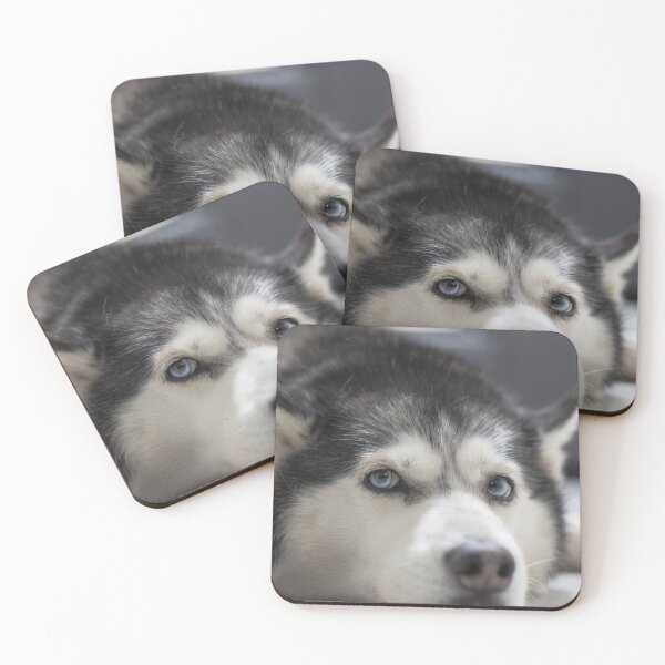 Item preview, Siberian Husky Dog Resting designed and sold by VanGaldo.