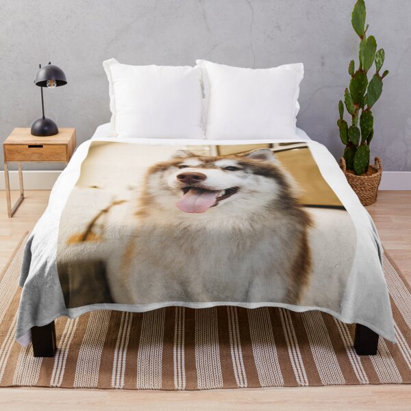 Item preview, Cute Brown Siberian Husky Dog designed and sold by VanGaldo.