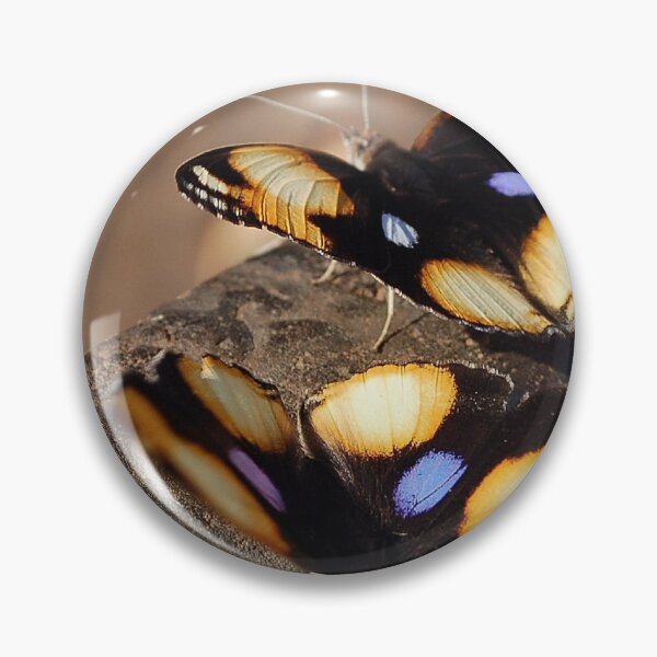 Item preview, FEMALE YELLOW PANSY - Genus Junonia, Pansies  designed and sold by Magriet Meintjes.