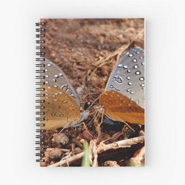 Item preview, GUINEAFOWL – Hamanumida daedalus designed and sold by Magriet Meintjes.