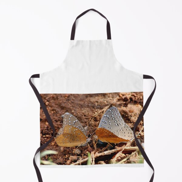 Item preview, GUINEAFOWL – Hamanumida daedalus designed and sold by Magriet Meintjes.