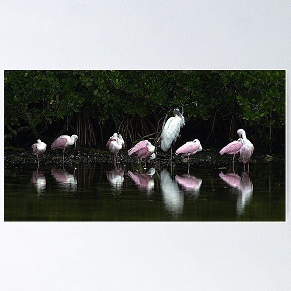 Item preview, Rosette and Wood Stork designed and sold by Larry  Grayam.