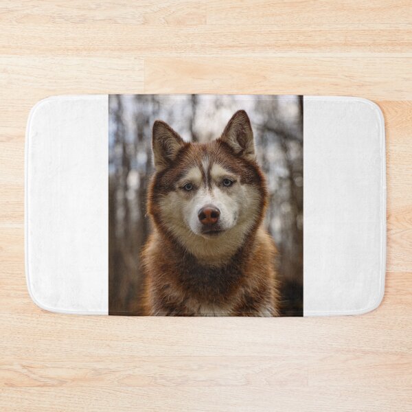 Item preview, Curios Siberian Husky Dog designed and sold by VanGaldo.