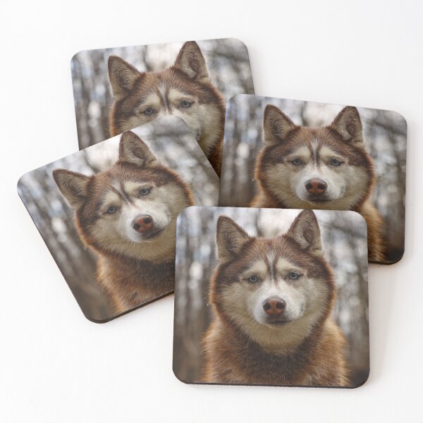 Item preview, Curios Siberian Husky Dog designed and sold by VanGaldo.