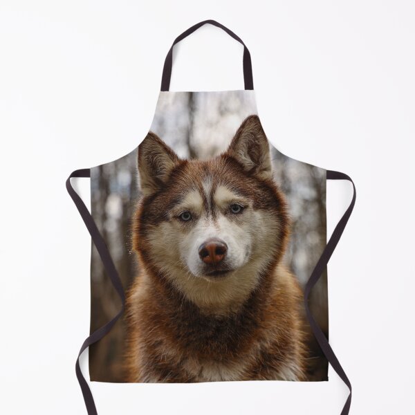 Item preview, Curios Siberian Husky Dog designed and sold by VanGaldo.
