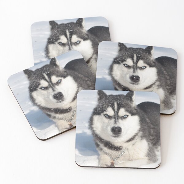 Item preview, Angry Looking Siberian Husky Dog designed and sold by VanGaldo.