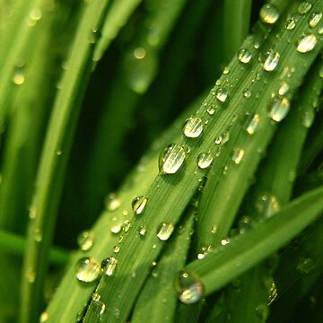 Artwork thumbnail, Green waterfall (iPhone case) by Lenka