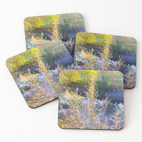 Item preview, jamor park designed and sold by Tereza Pilar  Art.