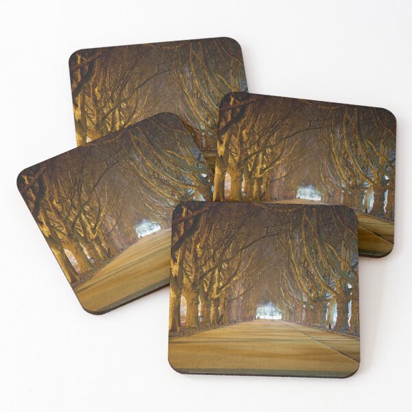 Item preview, Landscape of trees at night in a city park designed and sold by ThomasFoto.