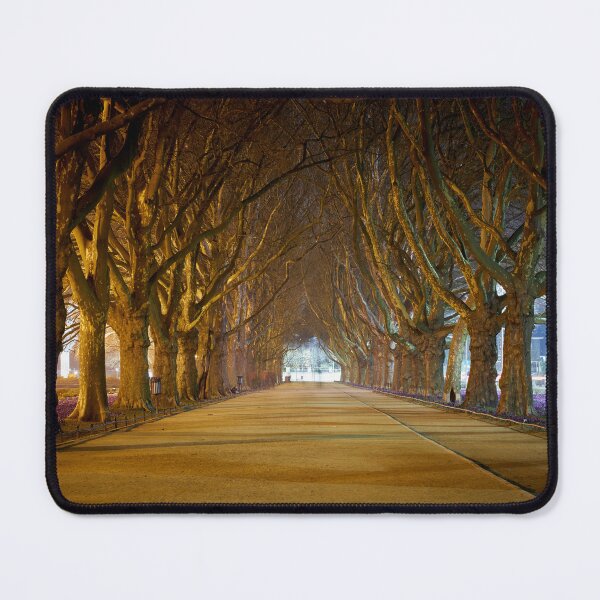 Item preview, Landscape of trees at night in a city park designed and sold by ThomasFoto.